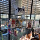 개떼월드 이미지