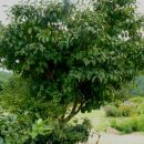 천선농장 이미지