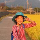 참다래농장 이미지