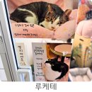 수원-0108 네이버블로그