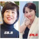 지엘헬스케어주식회사 | 매나테크 클린 으로 몸속 리셋 시작했어요 프로그램 체험기