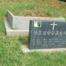 상록수공원 이미지