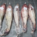 여름철 보양식 자연산 민어/ 최상급 오징어/ 병어/ 1+1 참굴비 이미지