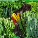 밥상마루 이미지