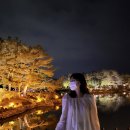 스타PC | [내돈내산] 경기 부천 <미니샵> 붙임머리 잘하는 곳 추천 / 리터치 후기
