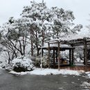 (주)상애