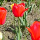 은혜동산 이미지