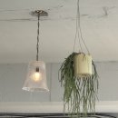 산호밥집