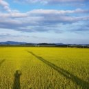 논산이용원 이미지