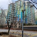 화평치과의원 이미지