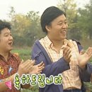 햄찌랑슈가랑 네이버블로그