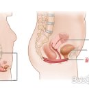 온필라테스라운지주엽