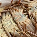 성해수산 이미지