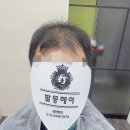 롯데리아 부산하단 | 부산 남자가발 당일 착용 가능! 프라이빗 1인실 솔모증모가발by발몽헤어