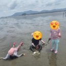 트랙터 타고 바다 한가운데 들어간 고창갯벌체험 후기/만돌갯벌체험장