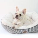 플러피독 이미지