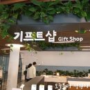 에코샵홀씨(주) | 마곡 서울식물원 탐방 :: 기념품샵, 씨앗 전시회장, 구근 구매 후기
