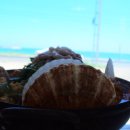 현자네해물촌 이미지