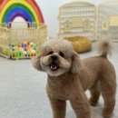 멍멍이 클럽 이미지