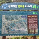 완주편백숲으로