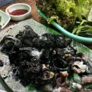 수정산오징어