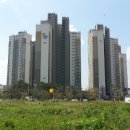 상록데시앙 이미지