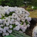 화순리 산방도서관 이미지