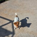 카페훈트 이미지