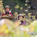 함양군(의탄리) 뉴스1