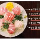 원참치 이미지