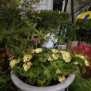 더27월풀펜션 이미지