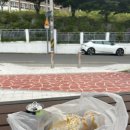 럭키피씨 이미지