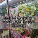 사동그린꽃 이미지