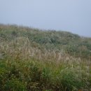 천북목장 이미지