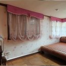 어울림편백펜션 이미지