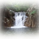 트럼펫연주 이미지