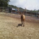 정윤농장 이미지