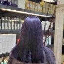 운정미용실 이철헤어커커 파주운정이마트점에서 퍼플염색 후기