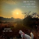 수노을동물병원 이미지