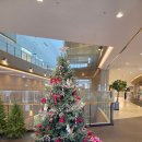 모모사 | 2025, 12월의 기록(1)