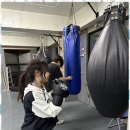 복싱 스페이스 이미지