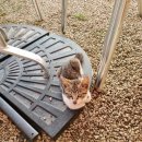 항남경로당 | 여름휴가)통영 2박3일 여행 촌캉스 [낭만당],1971카페,바이사이드,자연채,한마음식당