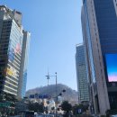 힐링약국 | 남대문 상비약, 영양제 쇼핑 남시약국 후기