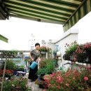 가득한정원 이미지