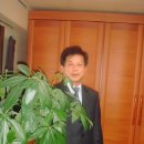 최판식 Daum카페