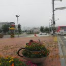 수원-0191 네이버블로그