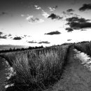 대신세탁소 이미지