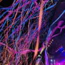 사운드뮤직 | 바르셀로나 뮤직 페스티벌 프리마베라 사운드 후기