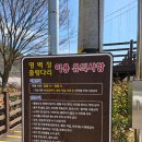영벽정 공중화장실 | 화순 영벽정 유원지 벚꽃 / 출렁다리 후기