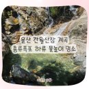 간월산장 | 울산 간월산장 계곡｜홍류폭포 하류 물놀이 명소 & 피서 꿀팁